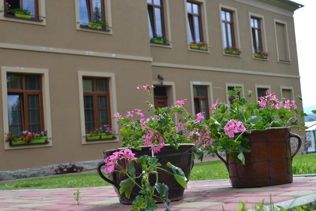 Pension Stara Skola Vysoke Zibridovice Bagian luar foto